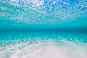 Tropical transparent ocean with sand bottom underwater