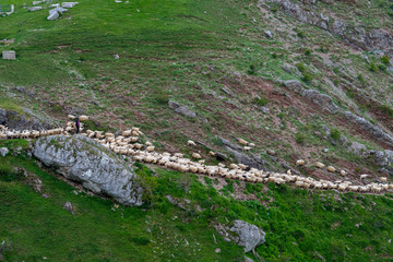 Lukomir, Bosnia and Herzegovina. A sunny, summer afternoon in the village of Lukomir on Bjelasnica Mountain
