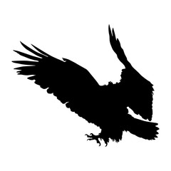 Eagle (Hieraatus Spilogaster) Silhouette Vector Found In Europe, Asia,African and North America
