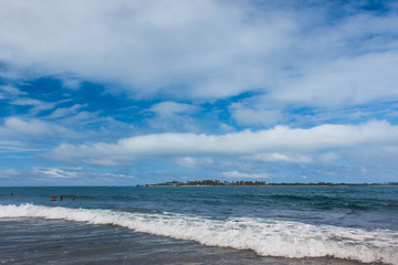 horillas de playa del caribe con arena algas y piedras