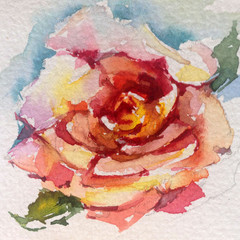Abstract bright colored decorative background . Floral pattern handmade . Beautiful tender romantic spring single rose flower , made in the technique of watercolors from nature.
