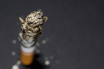 Cigarette with Ash.