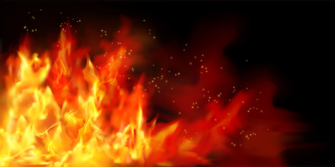 Fire flames on black background. Graphic elements for the design. Vector illustration.