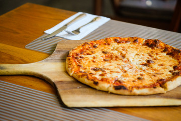 pizza with cheese Delicious fresh,Homemead