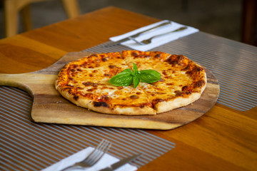 pizza with cheese Delicious fresh,Homemead