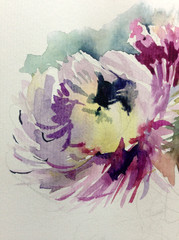 Abstract bright colored decorative background . Floral pattern handmade . Beautiful tender romantic bouquet of summer aster flowers , made in the technique of watercolors from nature.