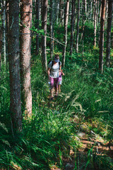 Mom and daughter are walking along a hiking trail in the forest. Koli National park, Finland.