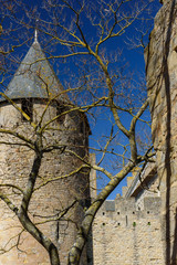 View of the Wall and castle of Carcassonne