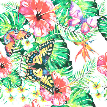 Hawaiian flowers, butterflies, watercolor, exotic plants, isolated on a white © aboard