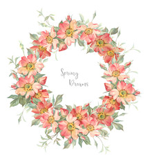 Botanical illustration of wild rose. Vintage postcard composition