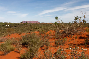 Suchy grunt australijski, góra na horyzoncie