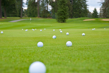 Fototapeta premium Pitching and chipping areas over a sand bunker. Shallow depth of field. Focus on the ball in the center.