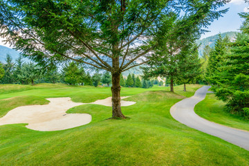 Golf course with gorgeous green and sand bunker