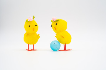 Two yellow easter chicks looking surprised at pink egg isolated