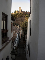 Su majestad 9