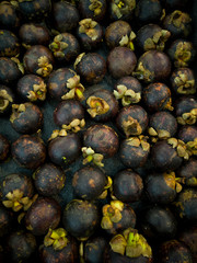 mangosteen on display at market