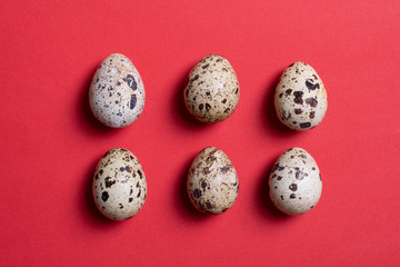 Fototapeta premium natural organic quail eggs on a red table, top view food