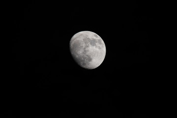 Mond
