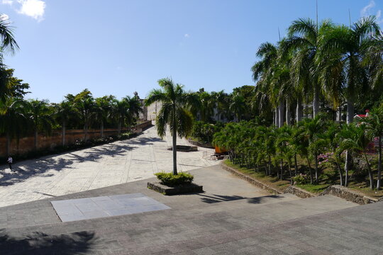 Palmen am Spanischen Platz in Santo Domingo