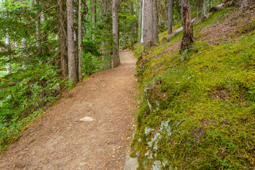 Beautiful Mountain Trail View at Lightning Lakes, British Columbia, Canada.