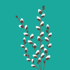 willow catkins twigs- vector illustration © chrupka