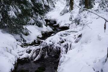 Bachlauf im verschneiten Erzgebirge 