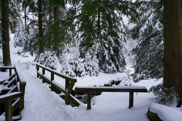 Schneelandschaft mit einer Holzbrücke im Erzgebirge in Sachsen in Deutschland