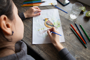a young girl draws with watercolor pencils