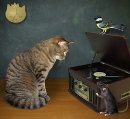 The beige cat and black rat are sitting near a turntable vinyl record player with a radio  tuner....
