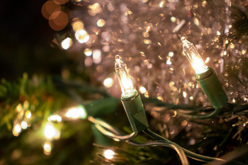 christmas tree background