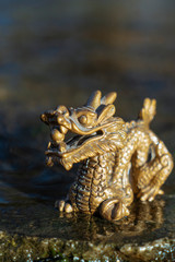 golden dragon