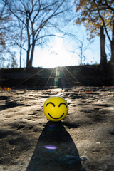 smiley face on the rocks