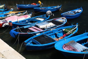 Fototapeta na wymiar Italian fishing harbor