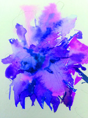 Abstract bright colored decorative background . Floral pattern handmade . Beautiful tender romantic bouquet of summer aster flowers , made in the technique of watercolors from nature.