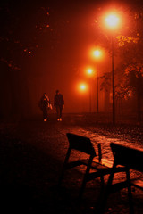 Naklejka premium Silhouette couple walking in the park during foggy night
