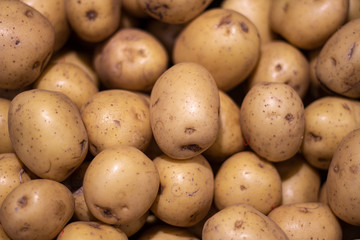 Potato in the market. Vegetables from the garden.