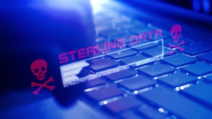 A computer hacker steals data from a server and tries to access the server via the internet.