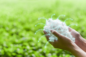 Hands holding polyester staple fiber glow by polygon design with blur green grass background