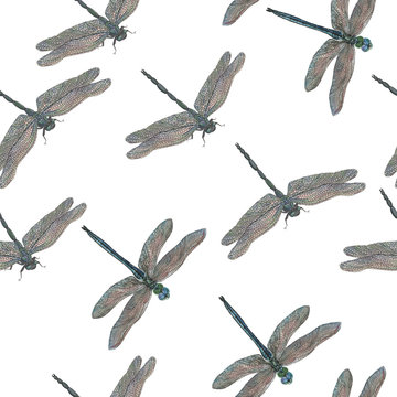 Watercolor painting seamless pattern with beautiful dragonflies