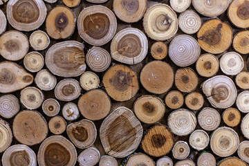 Texture of different types of wood.
