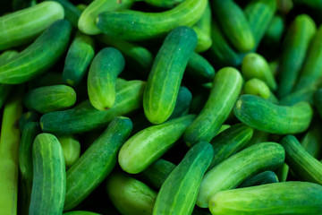 pile of fresh cucumbers, Cucumber laid alternately as a background