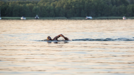 Schwimmer (Werbellinsee, Brandenburg)