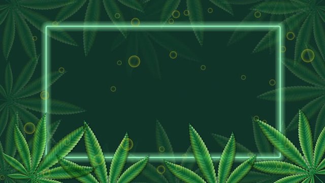 The animated background of cannabis leaves and drops of CBD oil with a glowing square in a neon green glow and looping in 30 seconds.