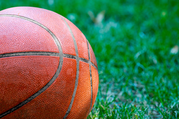 Basketball ball in garden over grass close up