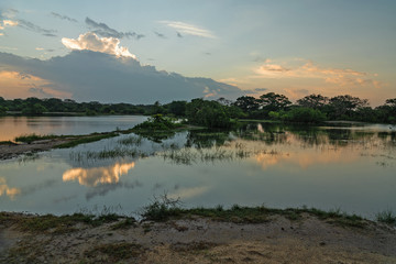 Sunrise lake landscape, Yala National Park, Sri Lanka