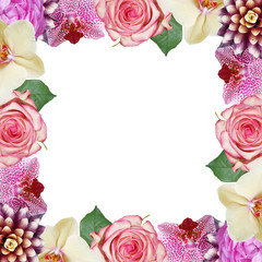 Beautiful floral pattern of guzmania, roses and orchids. Isolated