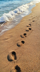Footprints on the sandy beach