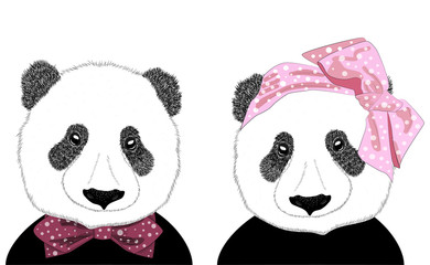 Hand drawn illustration of the head of a panda girl with a bow in the style of the 60s and a panda man in a tie, set.