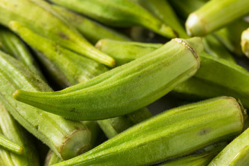 Raw Green Organic Okra Pods