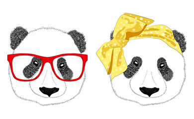 Hand drawn illustration of the head of a panda girl with a bow in the style of the 60s and a panda man with glasses